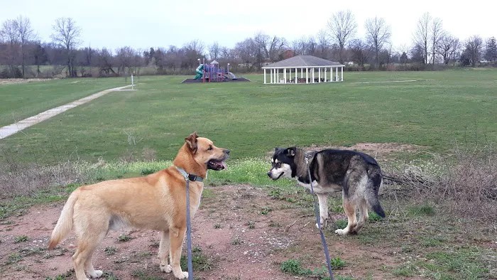 Cross Keys Community Dog Park 4
