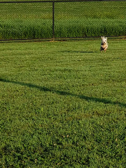 Cross Keys Community Dog Park 2