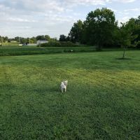 Cross Keys Community Dog Park ico