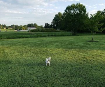 Cross Keys Community Dog Park