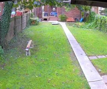 Pickles Park - Reservation Required
