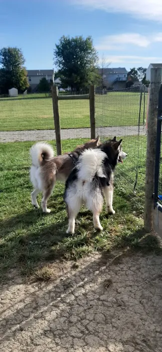 North Street Dog Park 7