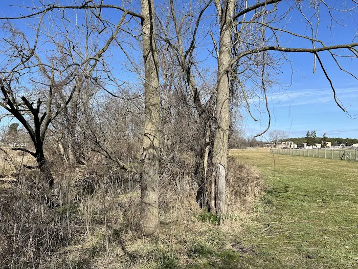 North Street Dog Park 6