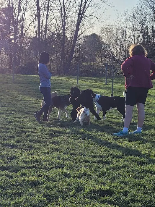 North Street Dog Park 2