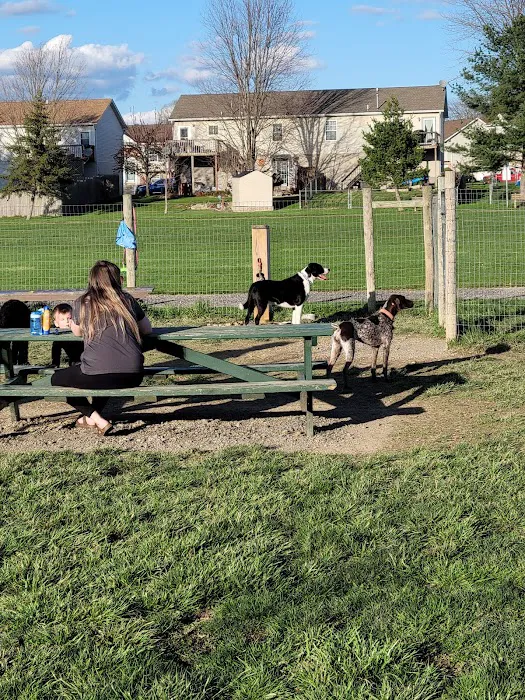 North Street Dog Park 9