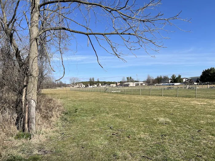North Street Dog Park 4
