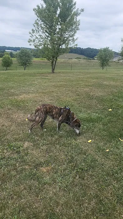 West Manheim Dog Park 1