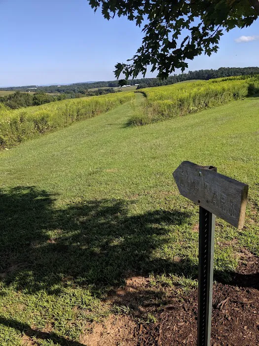 West Manheim Dog Park 10
