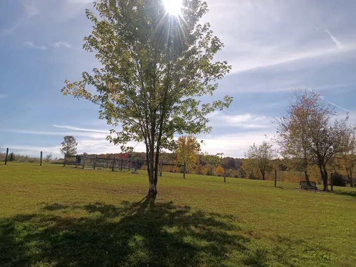 West Manheim Dog Park 4