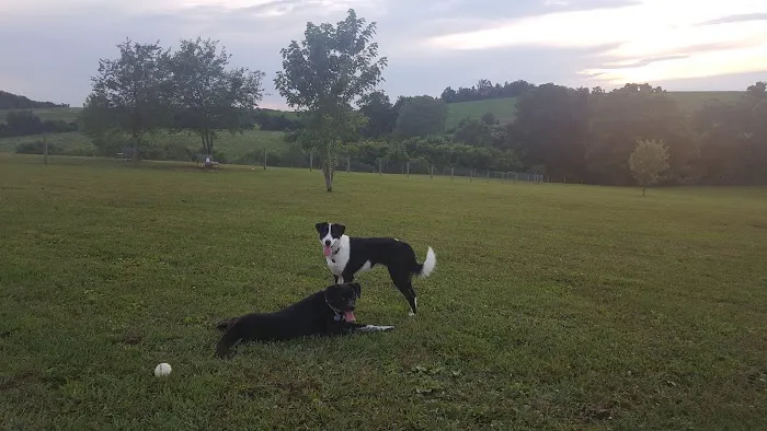West Manheim Dog Park 5