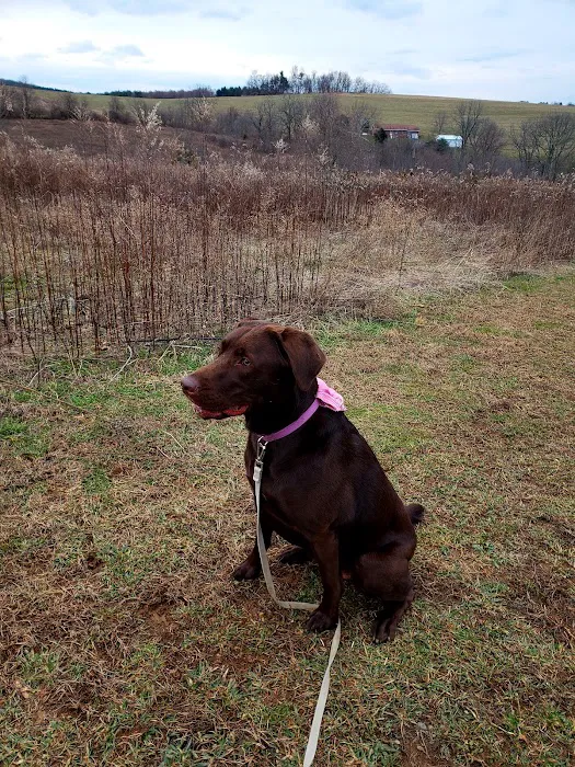 West Manheim Dog Park 3