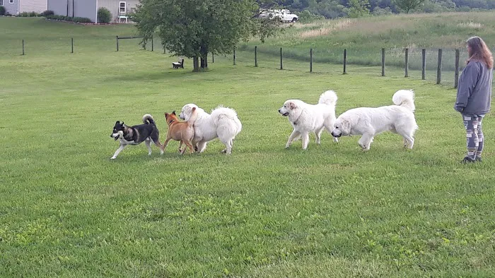 West Manheim Dog Park 6