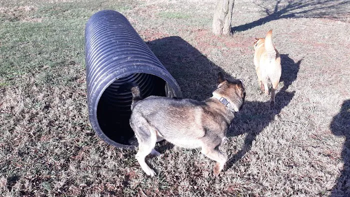 West Manheim Dog Park 7