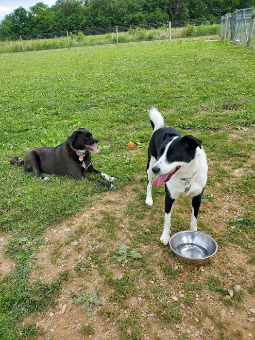 West Manheim Dog Park 8