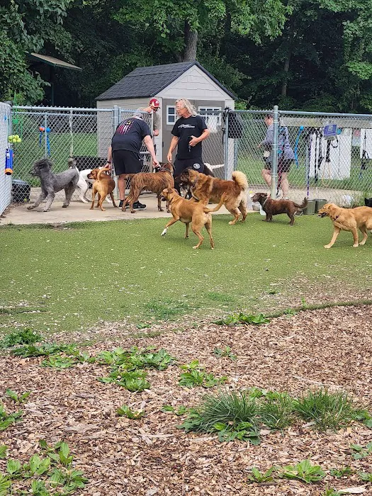 Bennett Cerf Dog Park (Members Only) 1