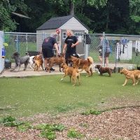 Bennett Cerf Dog Park (Members Only) ico