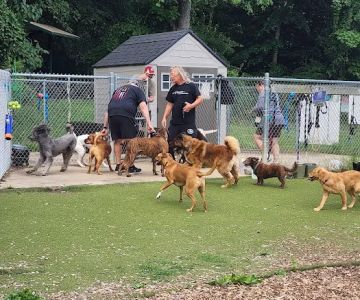 Bennett Cerf Dog Park (Members Only)