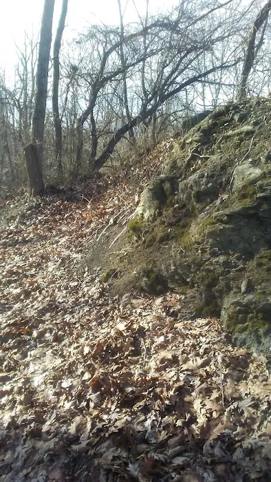 Bennett Cerf Dog Park (Members Only) 10