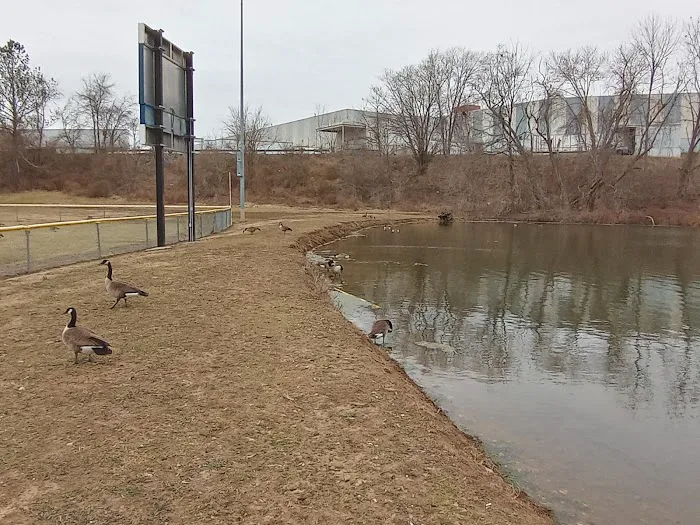 Bennett Cerf Dog Park (Members Only) 9