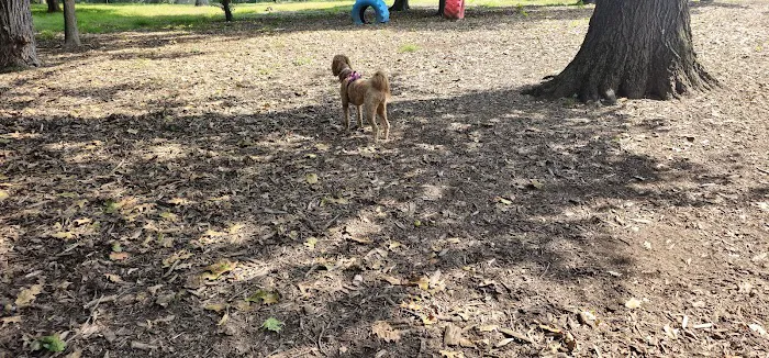 Carlisle Area Dog Parks (Members only) 3