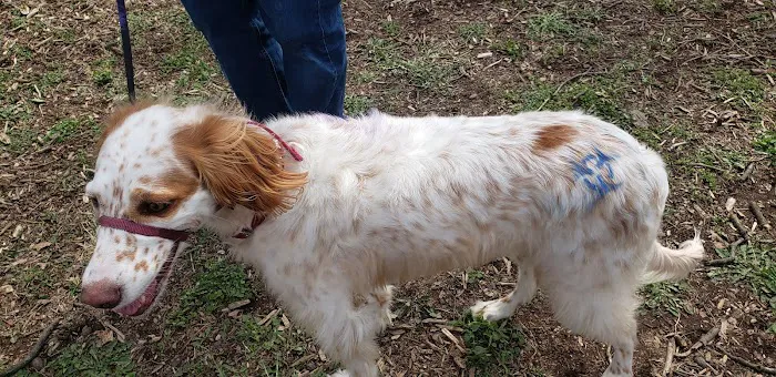 Carlisle Area Dog Parks (Members only) 1