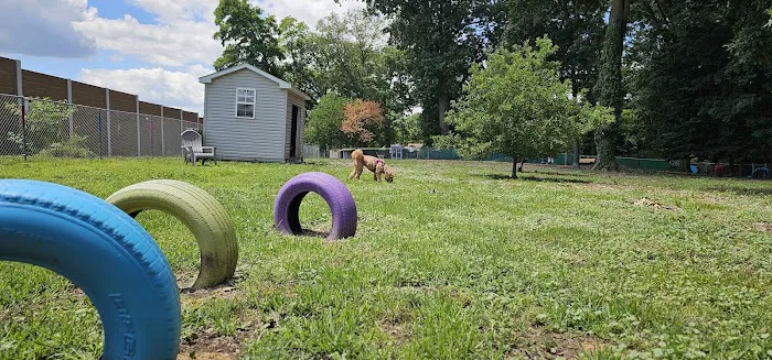 Carlisle Area Dog Parks (Members only) 5