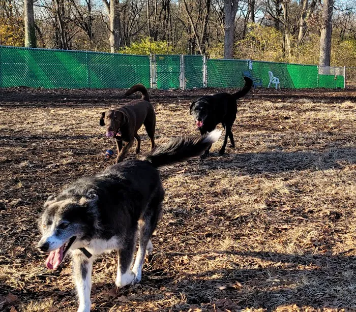 Carlisle Area Dog Parks (Members only) 10