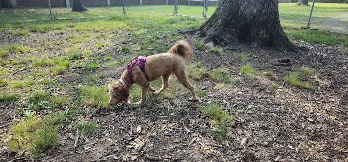 Carlisle Area Dog Parks (Members only) 2