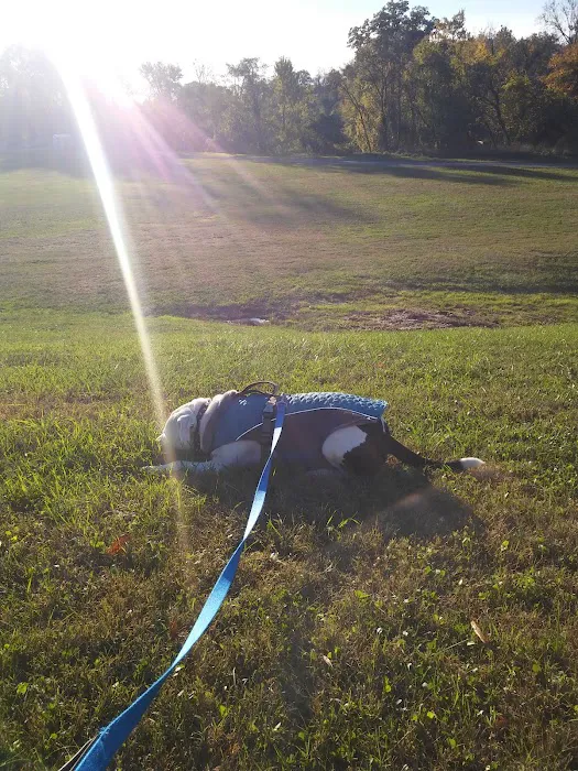 Perry Paw Dog Park - Members Only 9