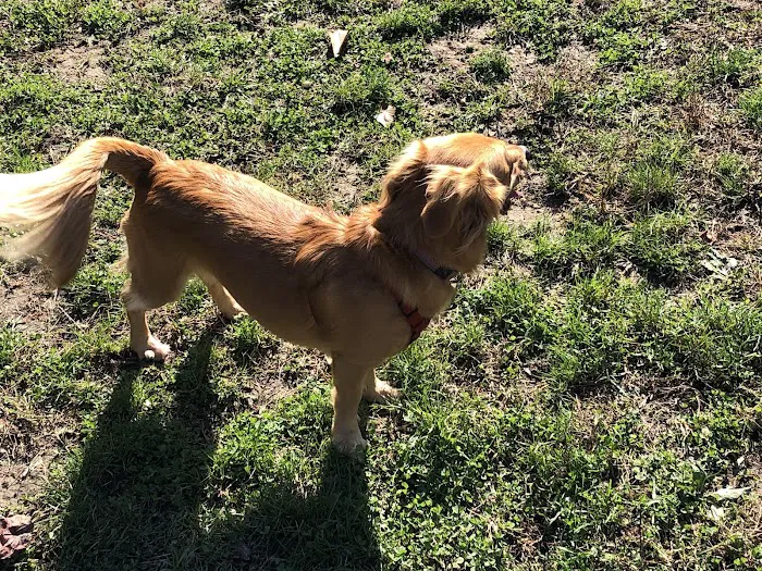 Perry Paw Dog Park - Members Only 3