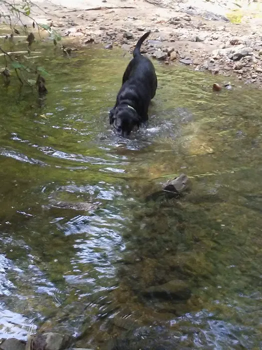 Perry Paw Dog Park - Members Only 8