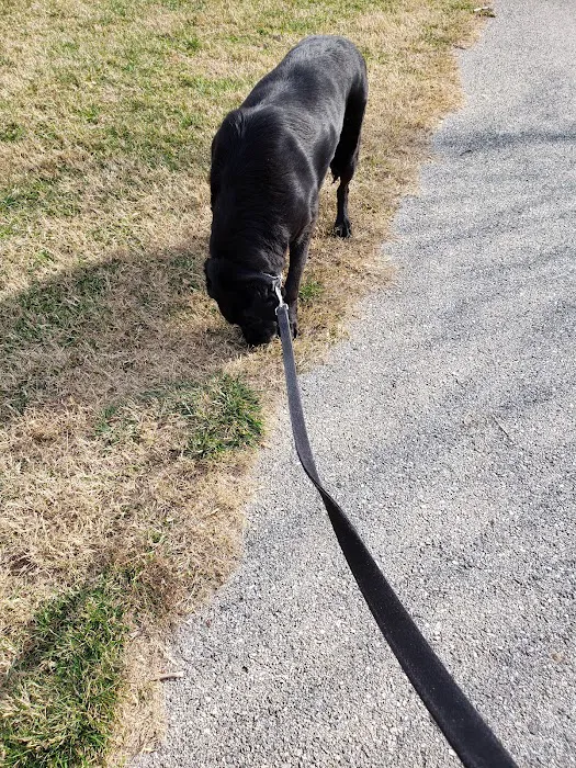 Perry Paw Dog Park - Members Only 10