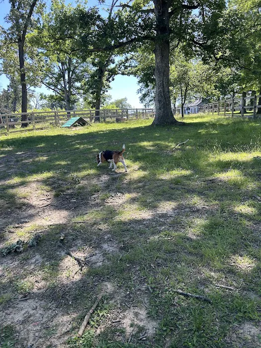 Burdick Bark Dog Park 4