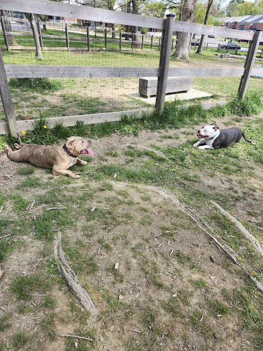 Burdick Bark Dog Park 3