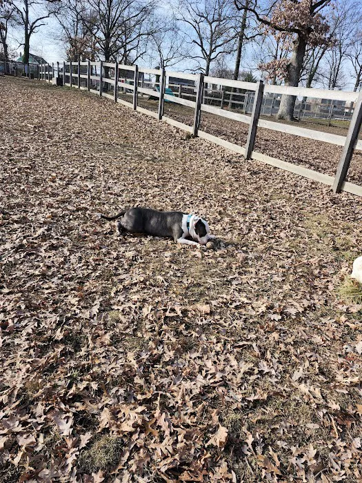Burdick Bark Dog Park 2