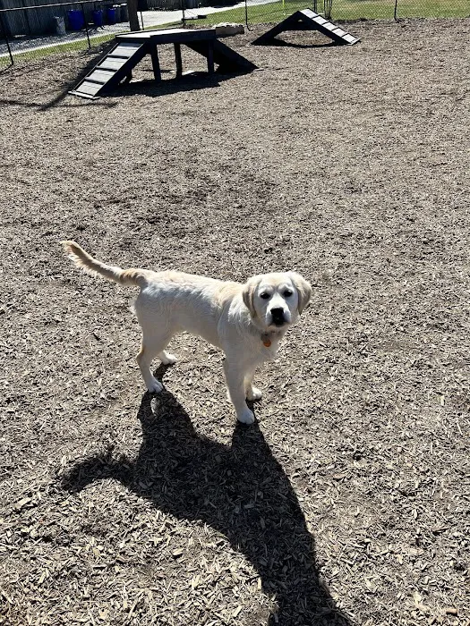 Bark Park 3