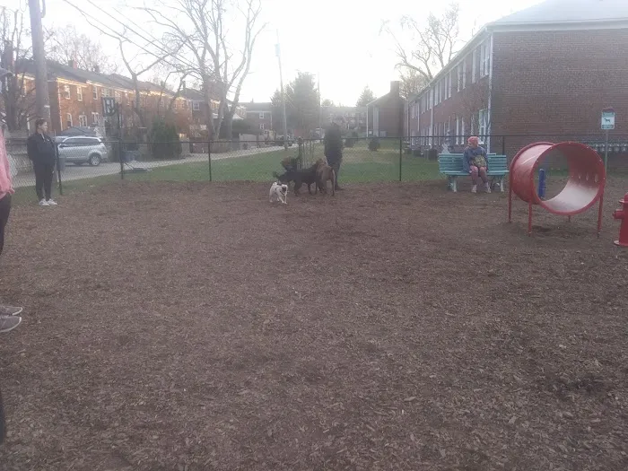 Bark Park 2