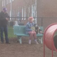 Bark Park ico