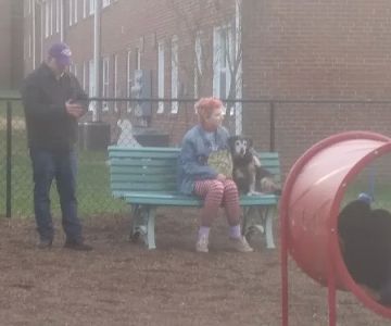 Bark Park