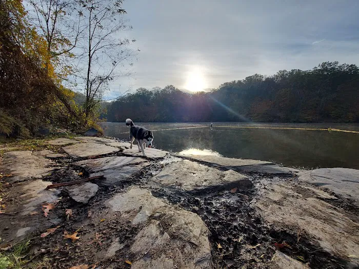 Paw Point Dog Park 2