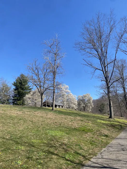 Paw Point Dog Park 7
