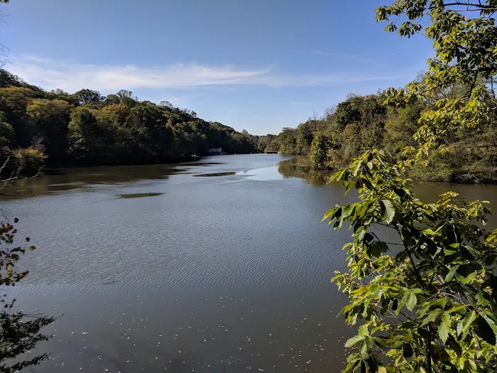 Paw Point Dog Park 5