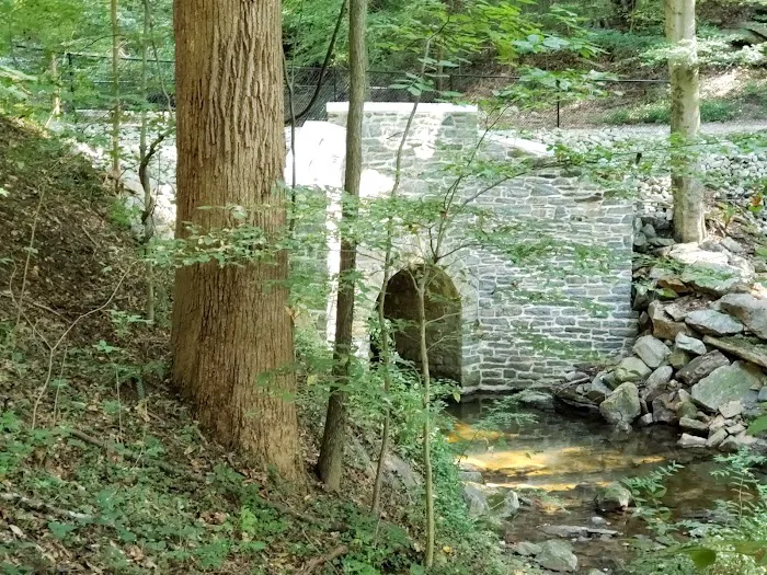 Paw Point Dog Park 3