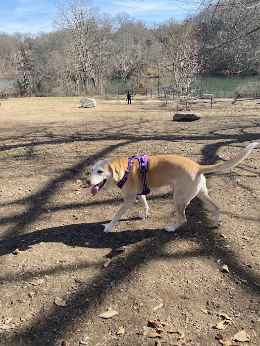 Paw Point Dog Park 8