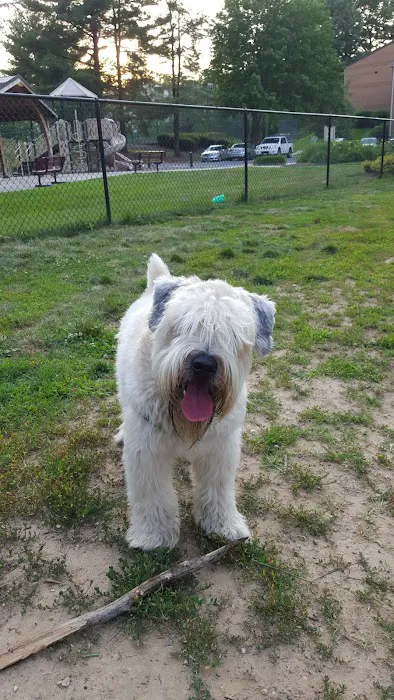 Bonnie Ridge Dog Park 1