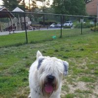 Bonnie Ridge Dog Park ico
