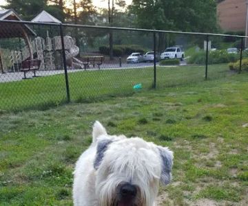 Bonnie Ridge Dog Park