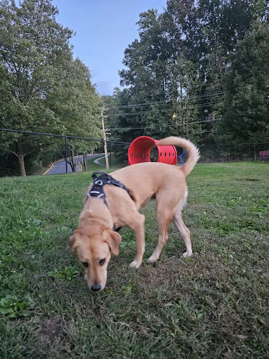 Bonnie Ridge Dog Park 3