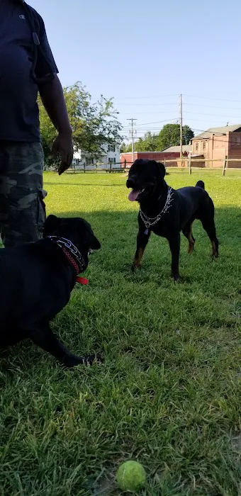 Selinsgrove Dog Park 1