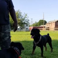 Selinsgrove Dog Park ico